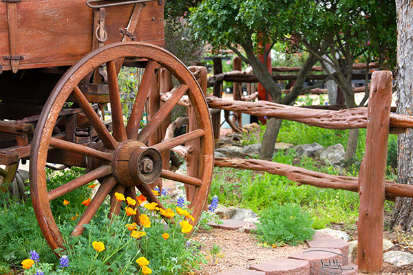 Flowers by Old Wagon Wheel in Fredericksburg, Texas