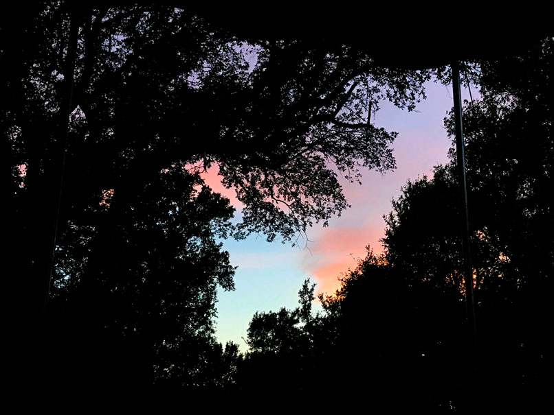 Texas Sunset through trees at Lake Whitney State Park
